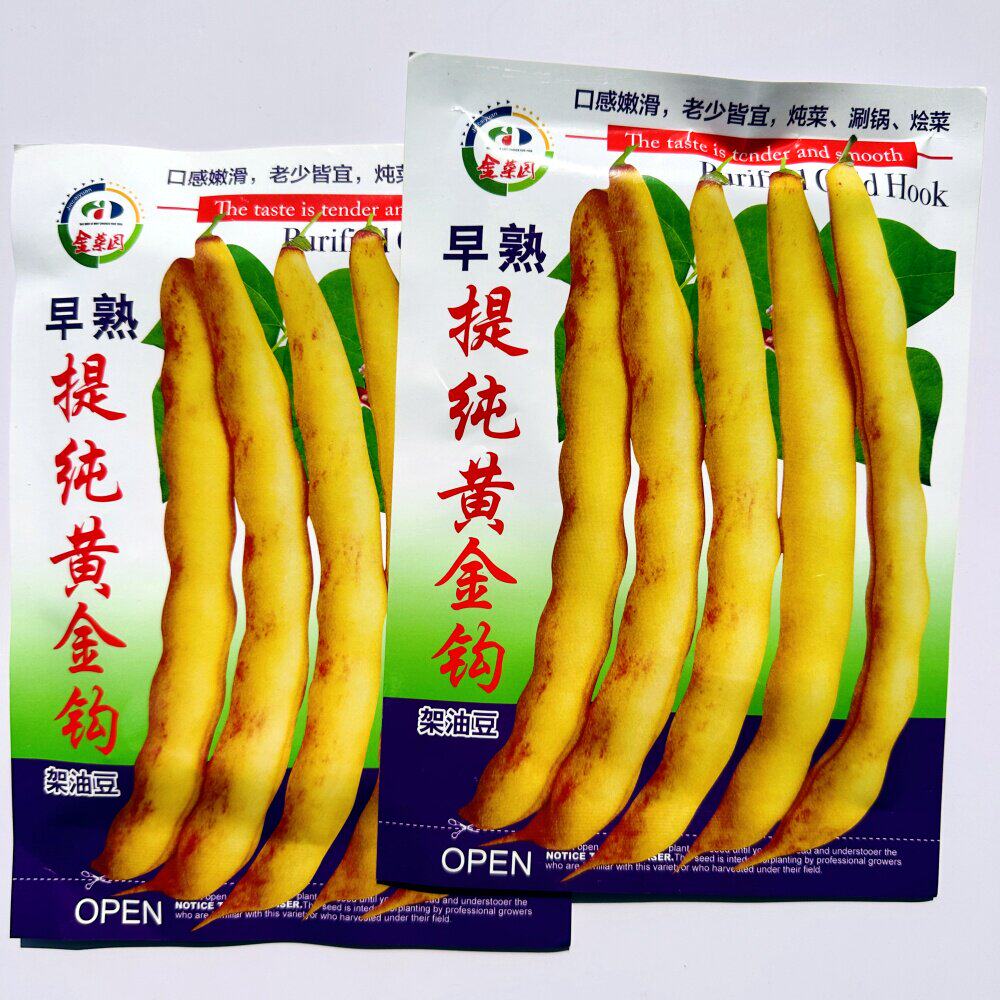 早熟黄金钩油豆种子抗病