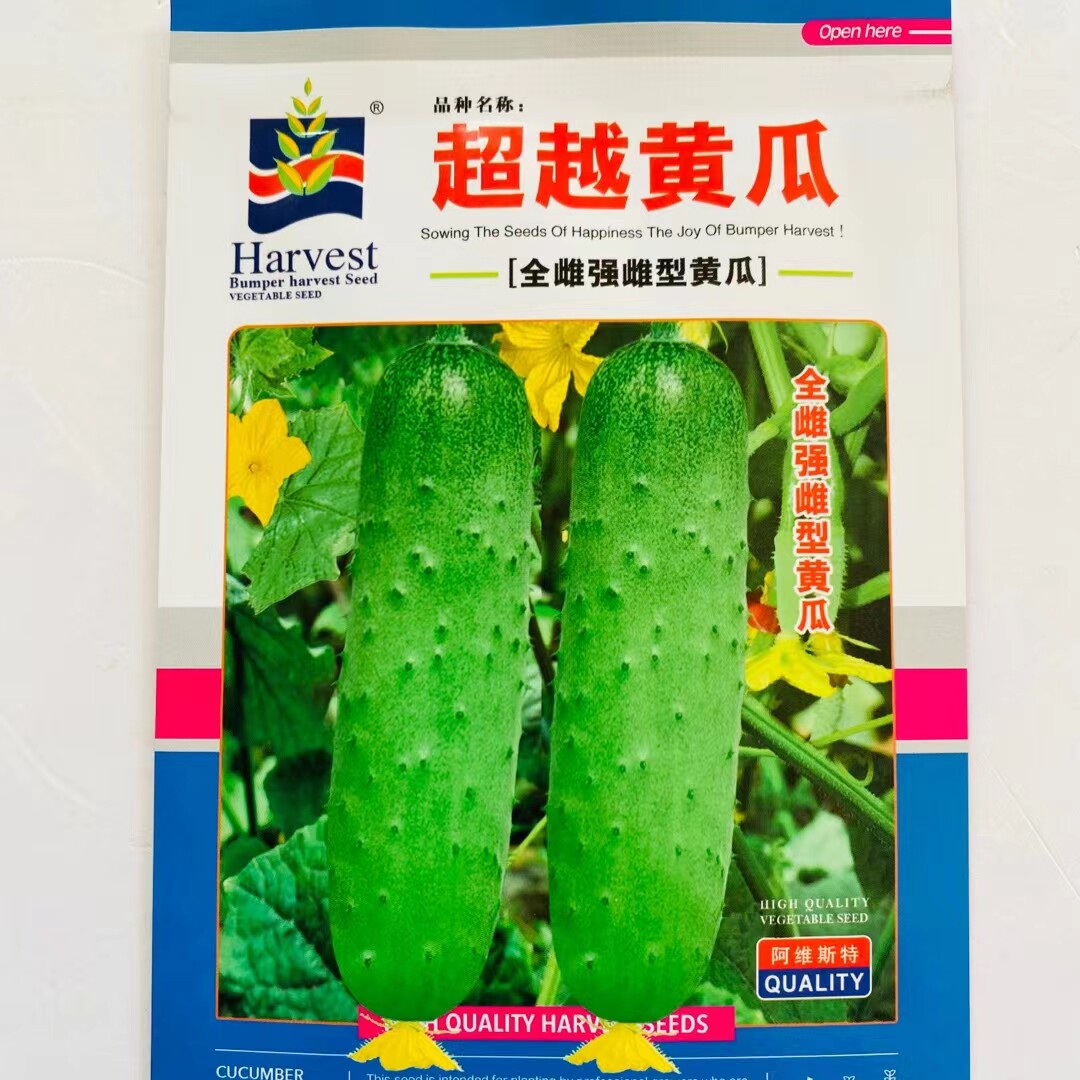 蓟农超越黄瓜种子全雌节节瓜白刺薄皮抗病瓜长18-20厘米蔬菜种籽