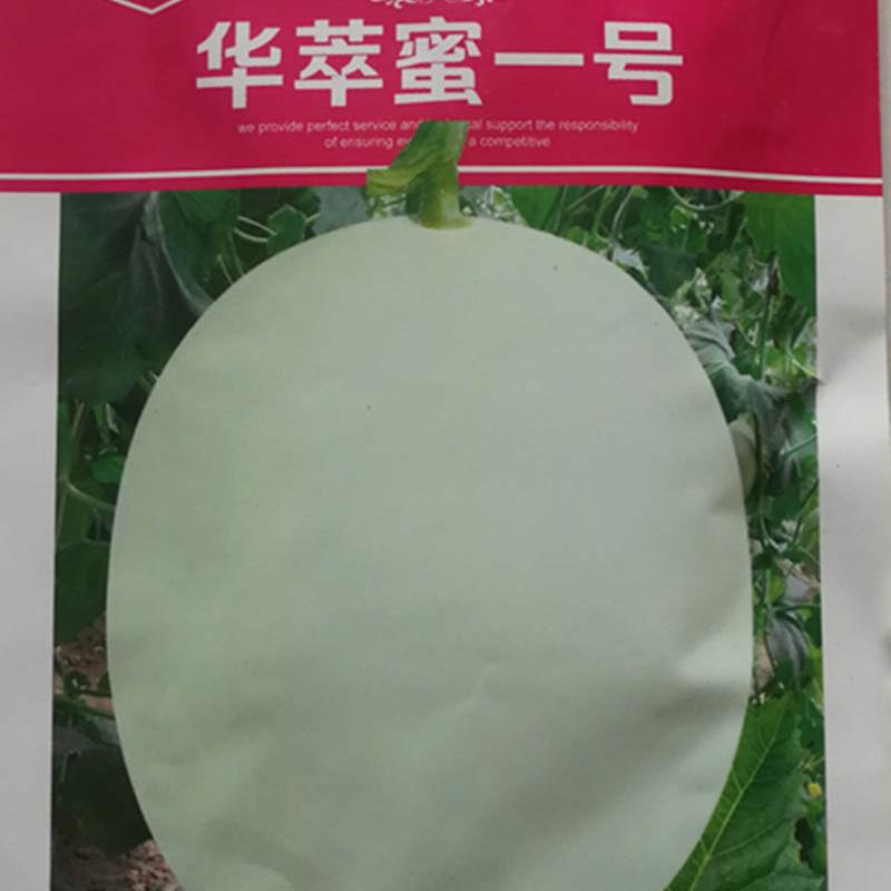 华萃蜜一号香瓜种子甜瓜种籽农家菜园四季田园春秋季播蔬菜种籽