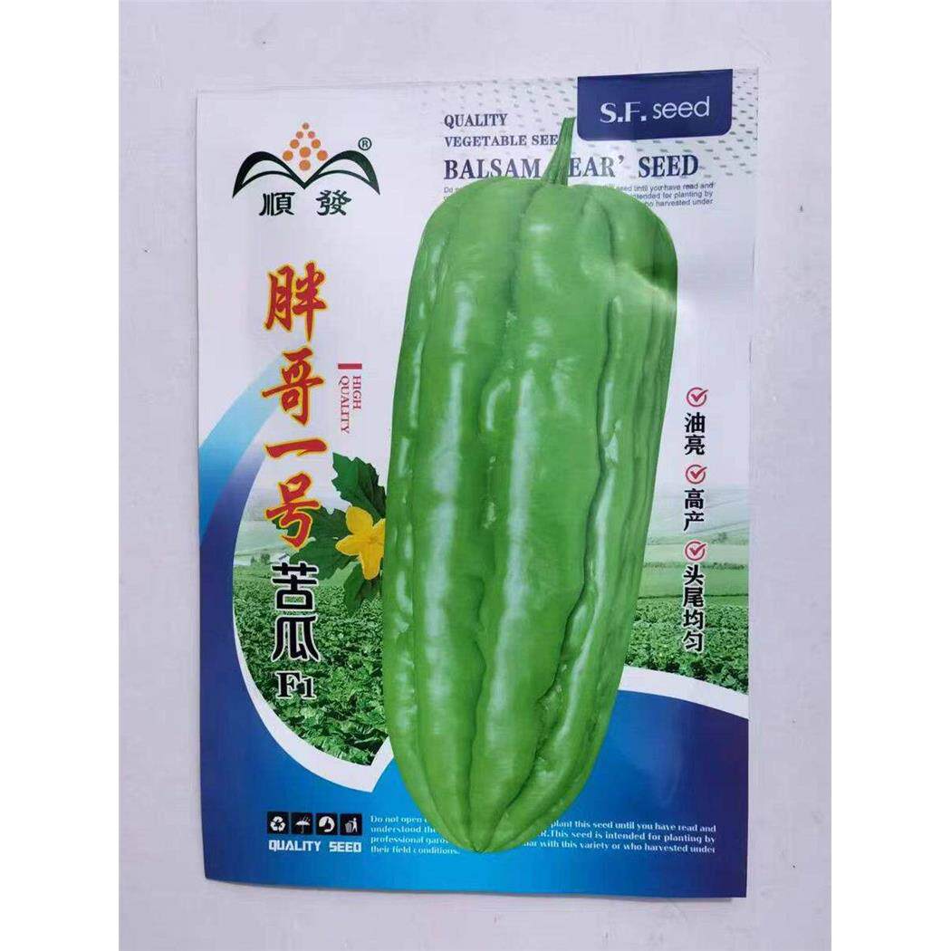 胖哥一号苦瓜杂交厚肉种