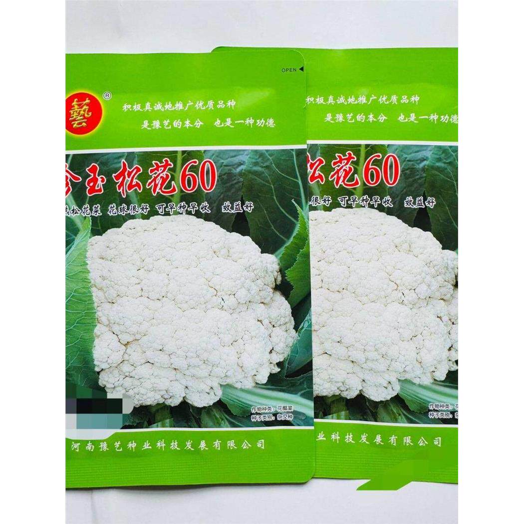 豫艺珍玉松花60菜花种子1