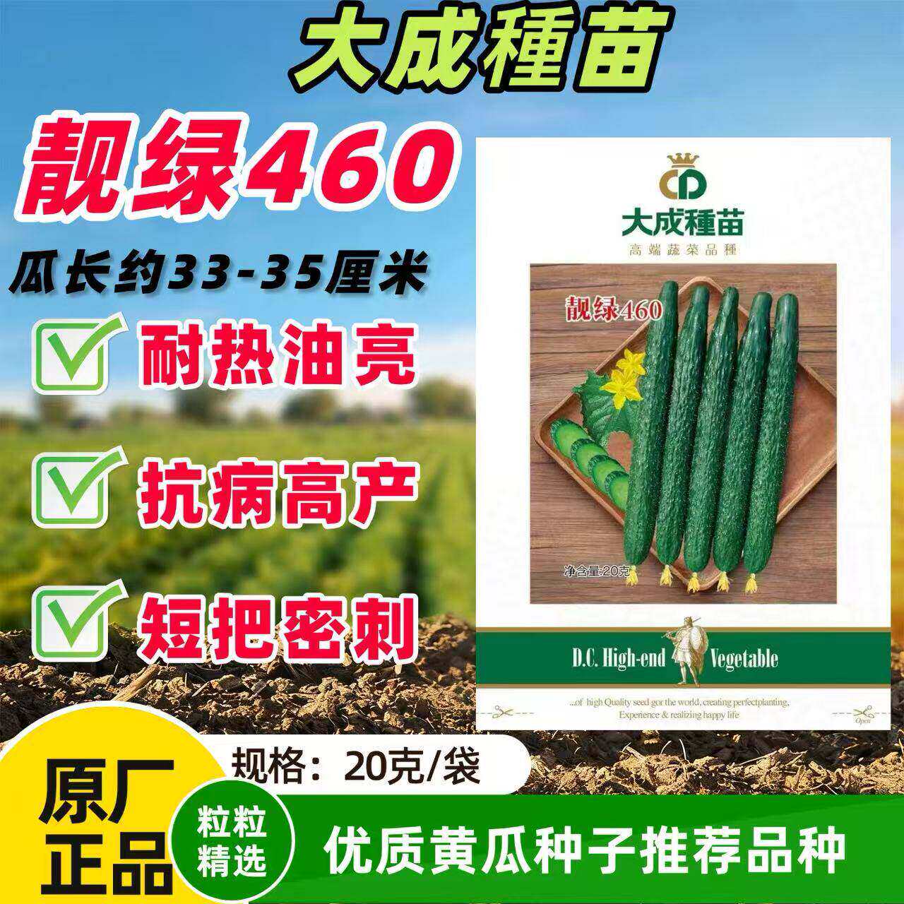 靓绿460黄瓜种子强雌油亮