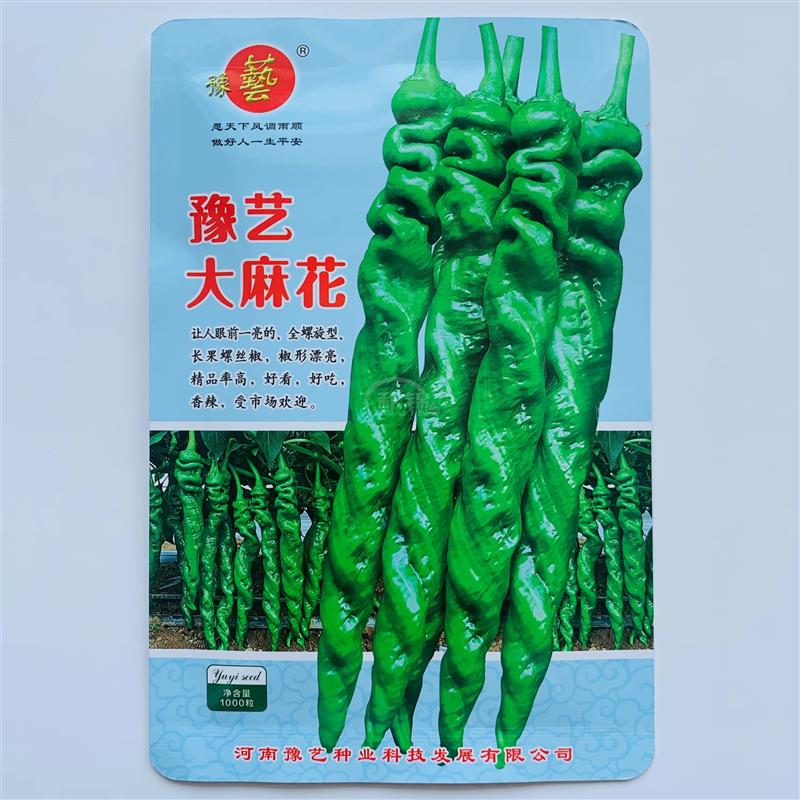 豫艺大麻花螺丝椒种子春秋冬季抗病高产皮薄陇椒螺丝香辣椒蔬菜籽