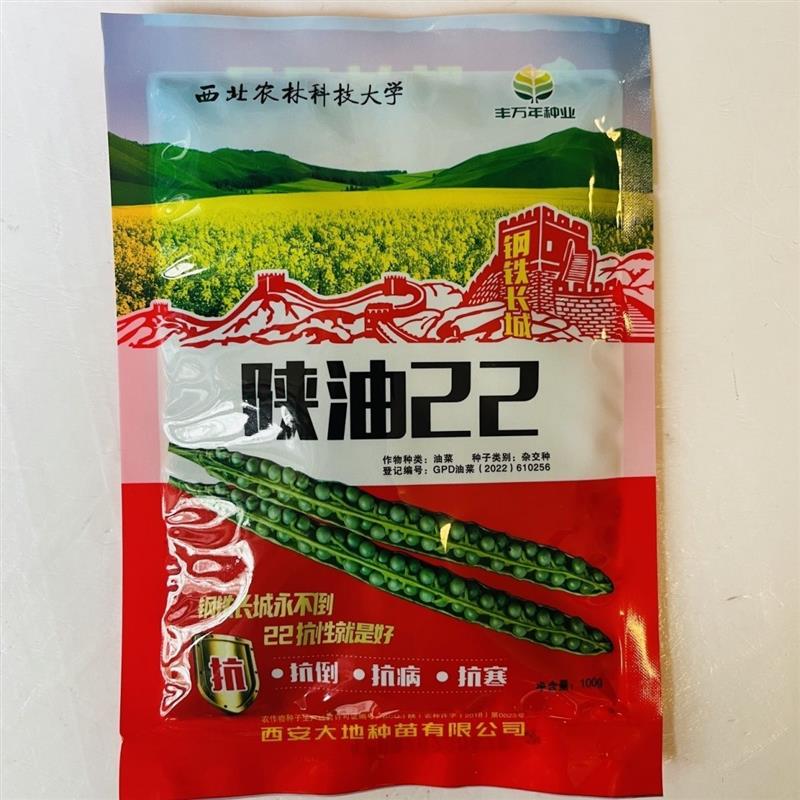 陕油22号菜籽种高产抗病抗倒伏大籽粒油菜种子榨油观赏油菜花孑