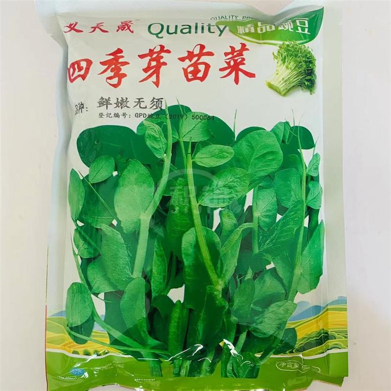 义天晟四季芽苗菜豌豆苗豌豆种子清香脆嫩高产抗病商品性佳四季播