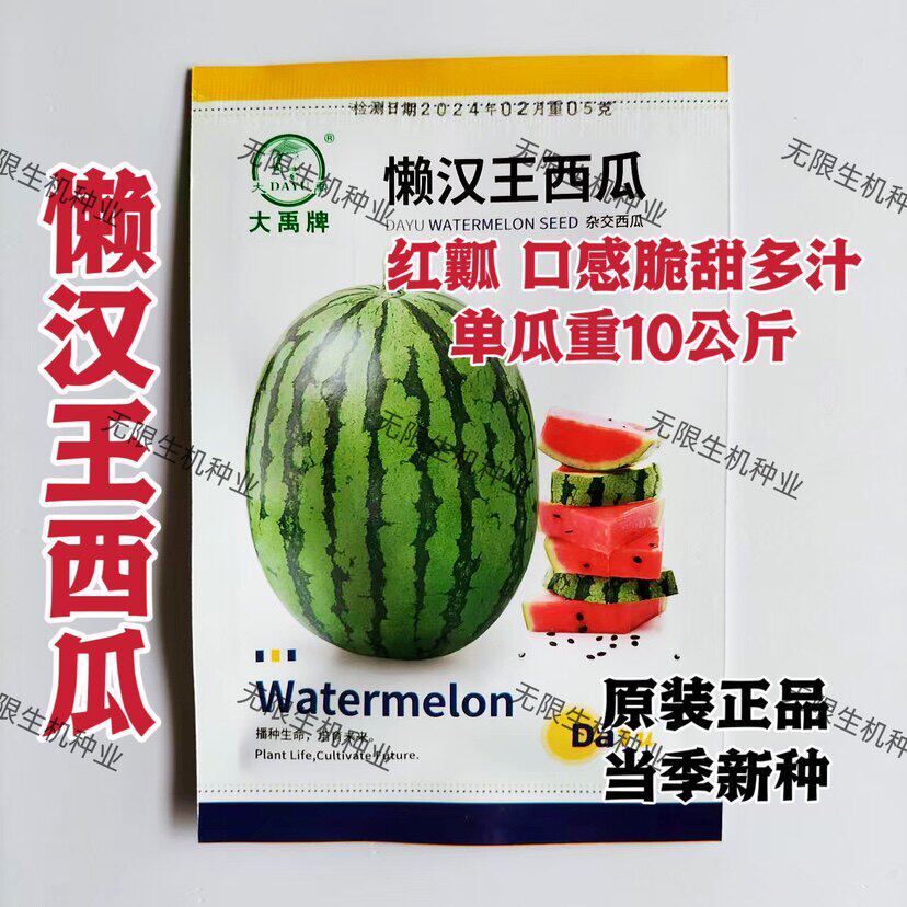 懒汉王西瓜种子巨型大籽