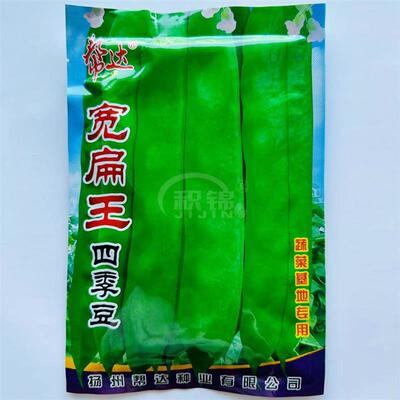 宽芸豆种子宽扁王四季豆架豆春夏油豆蔬菜孑高产豆角籽菜豆扁豆种