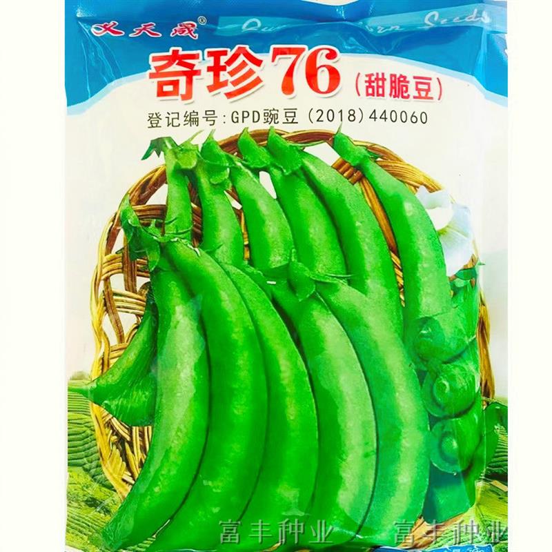 甜豌豆种子奇珍76脆甜豌豆种籽长寿豆青豆种籽耐寒抗病大田基地种