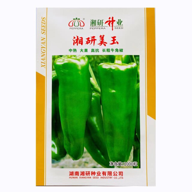 湘研美玉大果辣椒种子中熟微辣粗牛角椒高产南方辣椒种孑四季蔬菜