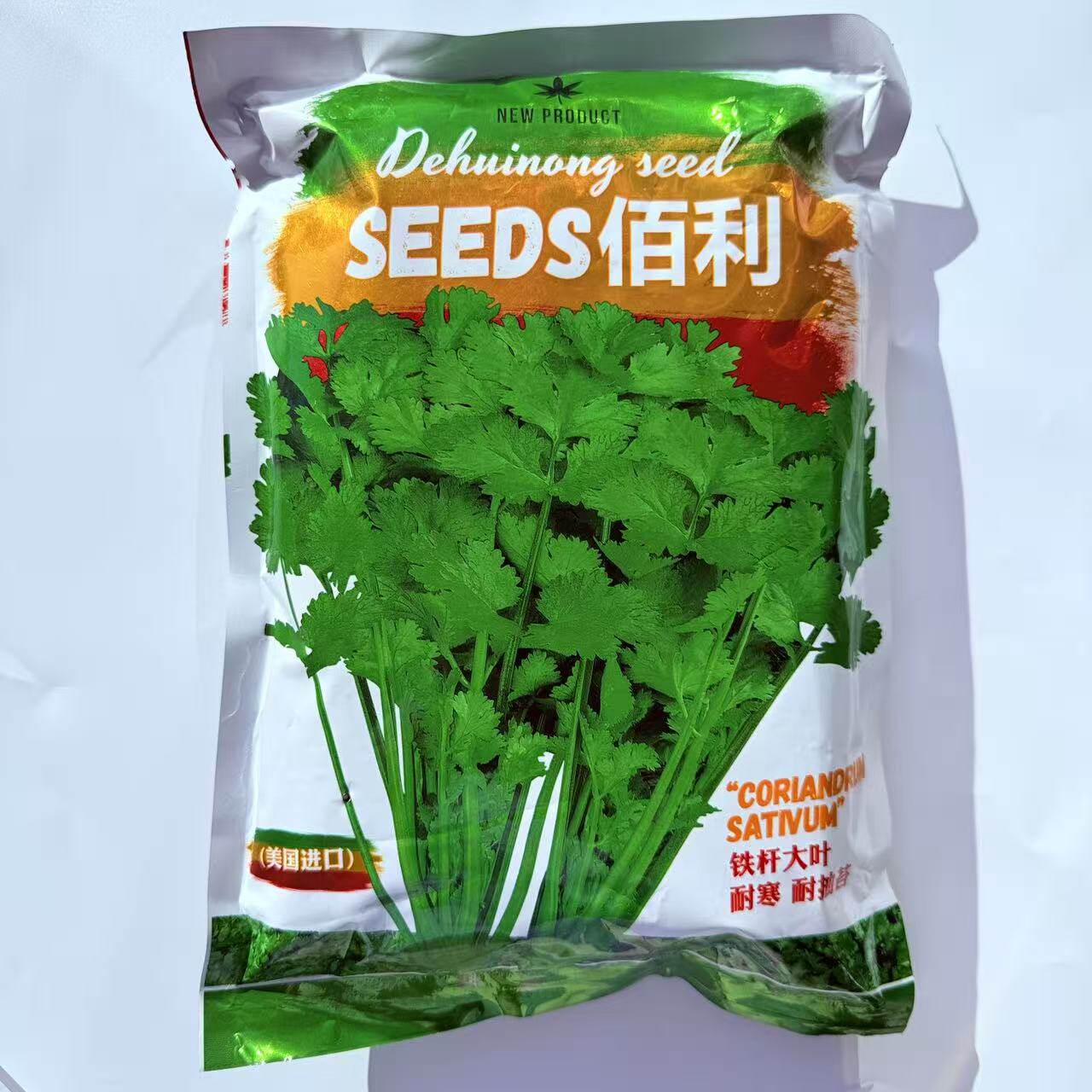 佰利耐热耐寒香菜大叶种