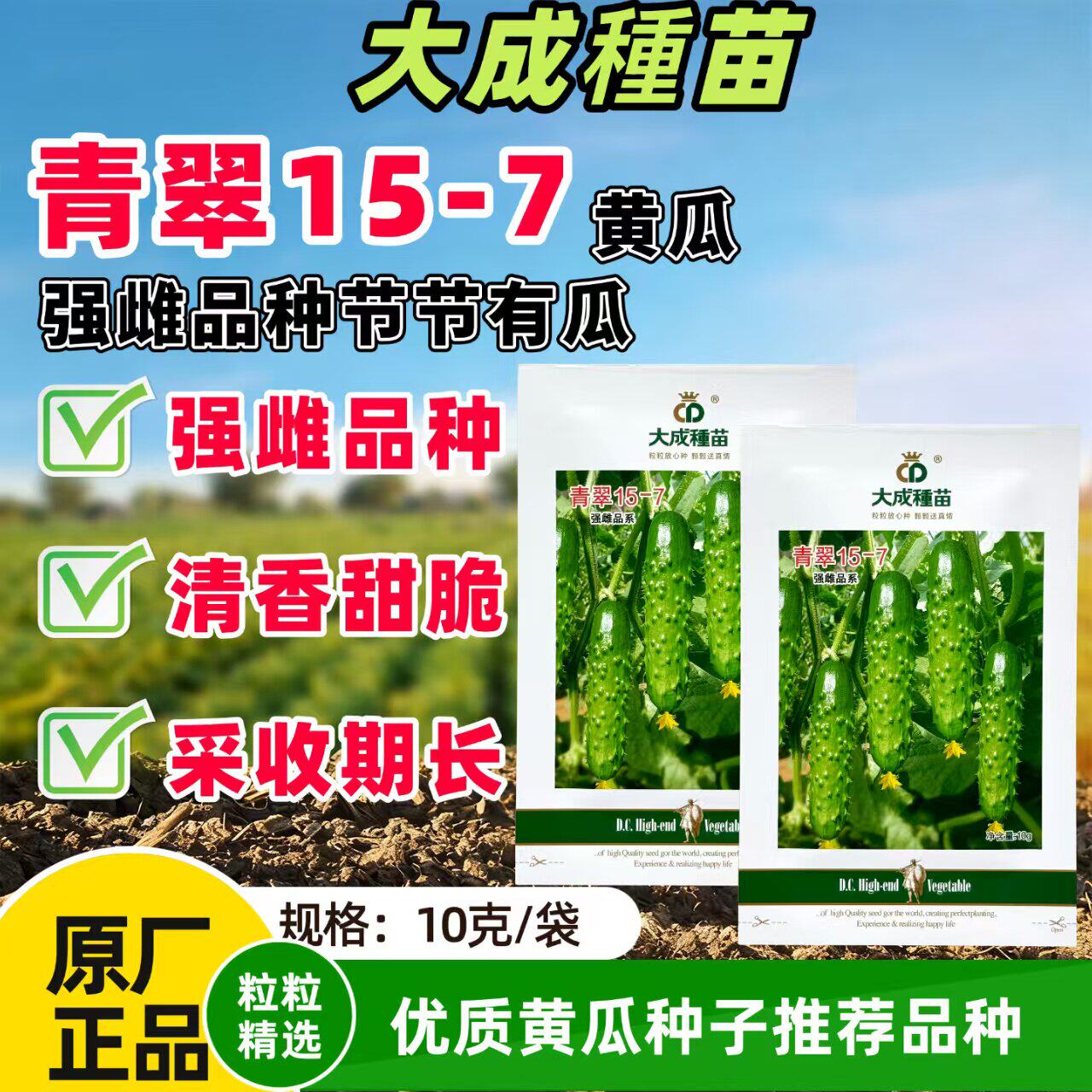 青翠15-7旱黄瓜种子高产