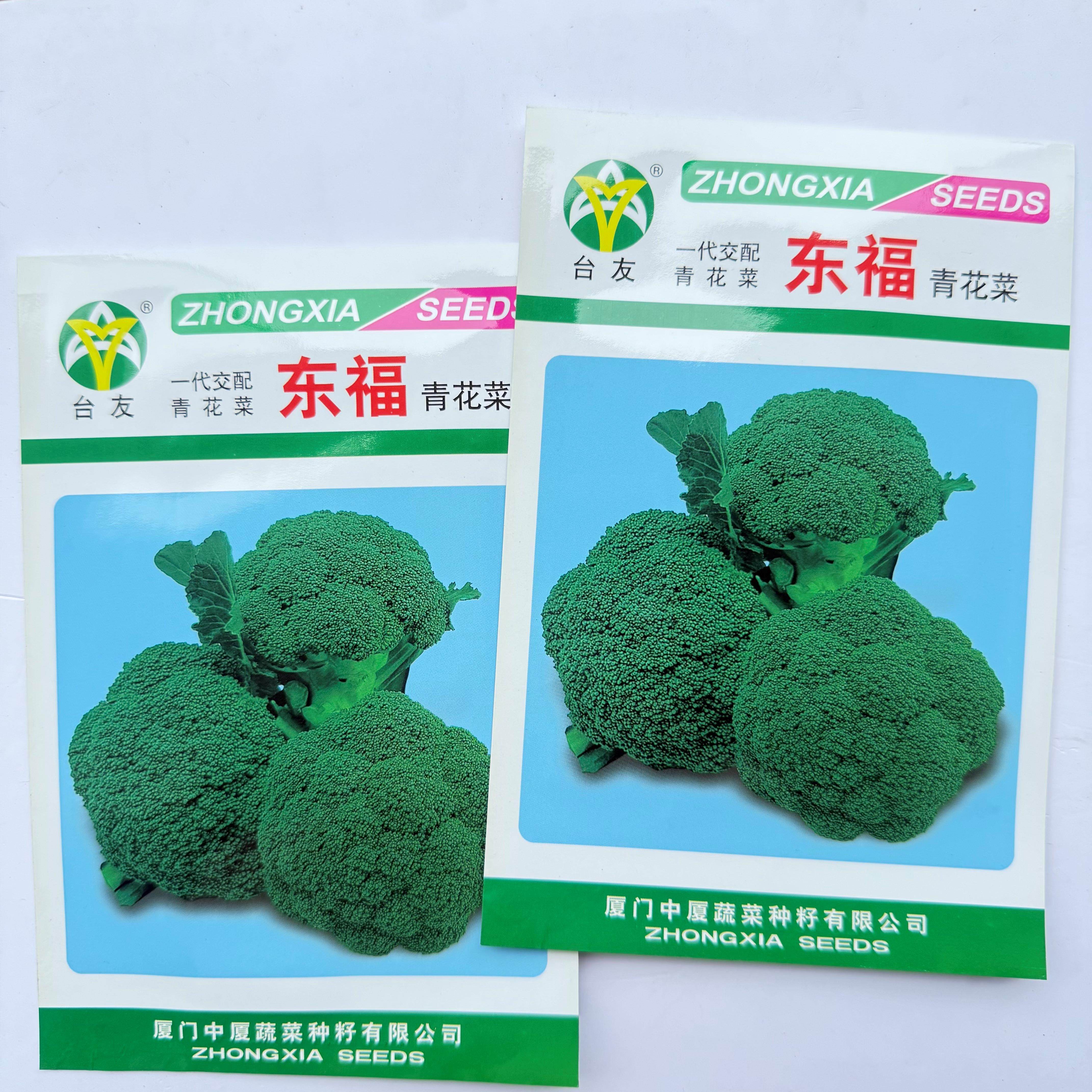 台友东福青花菜种子中晚