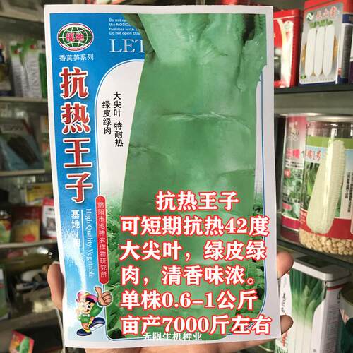抗热王子尖叶莴苣种子籽 特耐热莴笋 高温不抽苔 夏季四季易种植