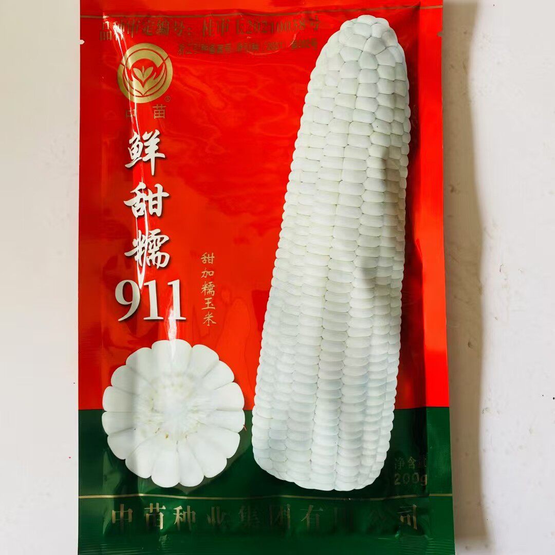 鲜甜糯911玉米种子大田高