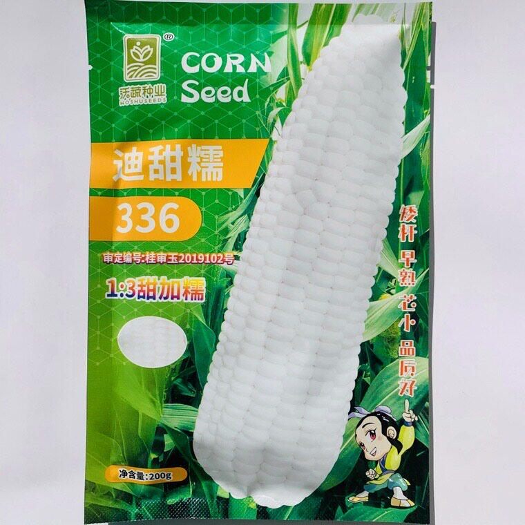 迪甜糯336玉米种子矮杆