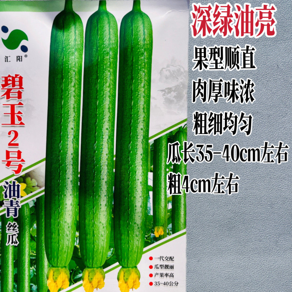 碧玉2号丝瓜种子早熟高产