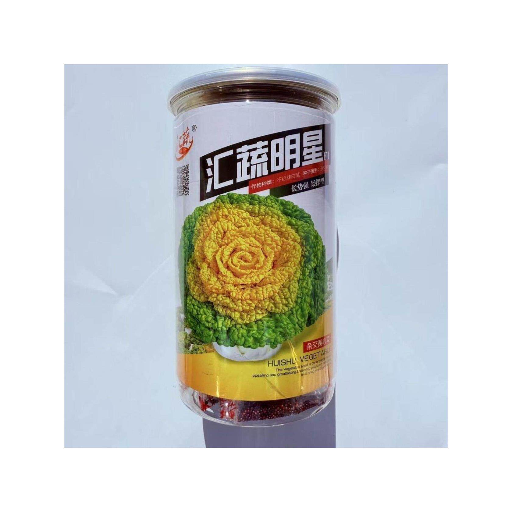 汇蔬明星黄心乌种子矮棵