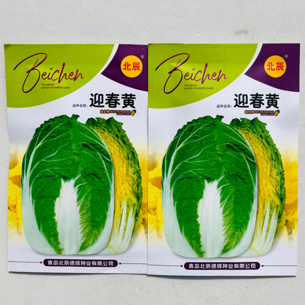 北辰迎春黄大白菜种子黄