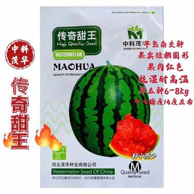 甜王西瓜种子冰糖麒麟西瓜早佳8424西瓜种籽孑抗湿耐高温皮薄抗裂