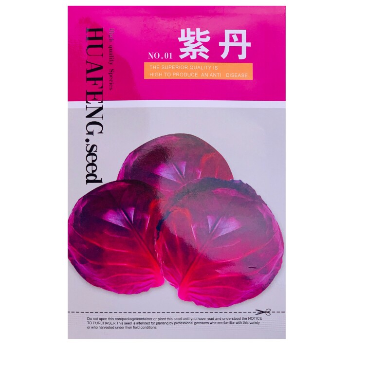 紫丹 春秋种植杂交紫甘蓝种子 80天包菜种子 莲花白种子 蔬菜种子