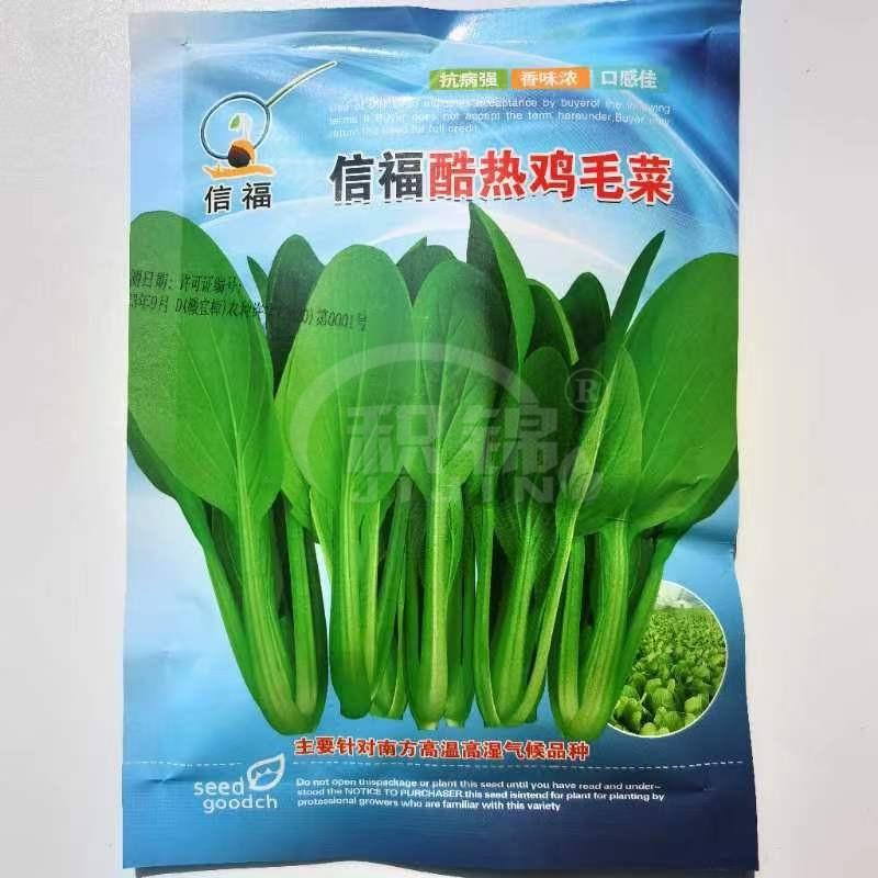 信福酷热鸡毛菜种子四季播种抗热耐寒蔬菜种子小白菜籽有机小青菜