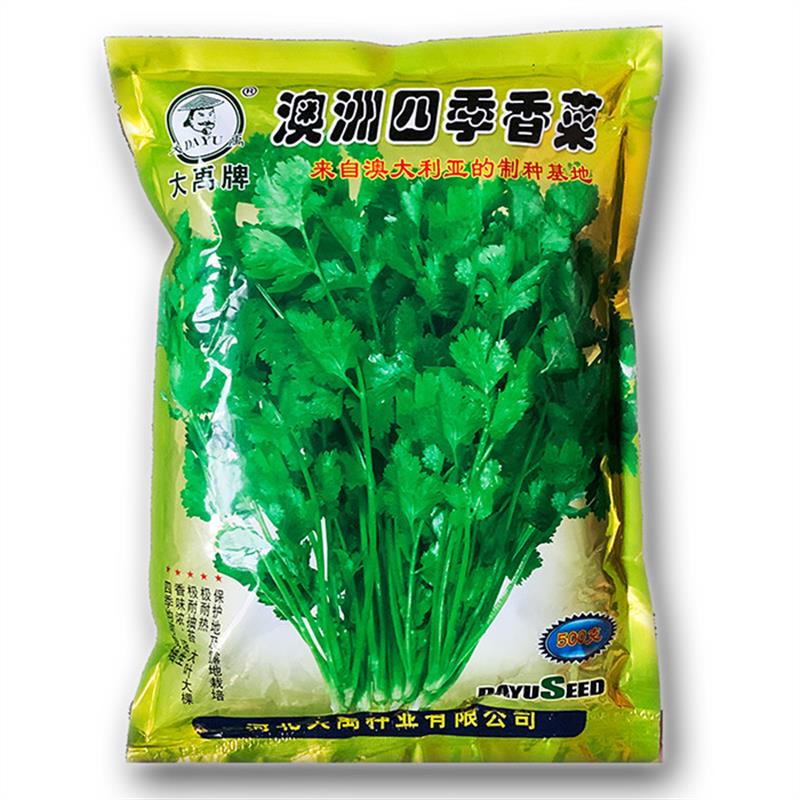 澳洲四季香菜耐寒耐热香菜种子大叶芫荽阳台菜种籽种籽农家蔬菜种