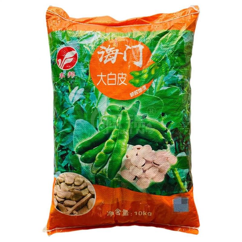 海门大白皮蚕豆种子菜籽特大高产抗病蔬菜种籽大粒蚕豆籽春秋种植
