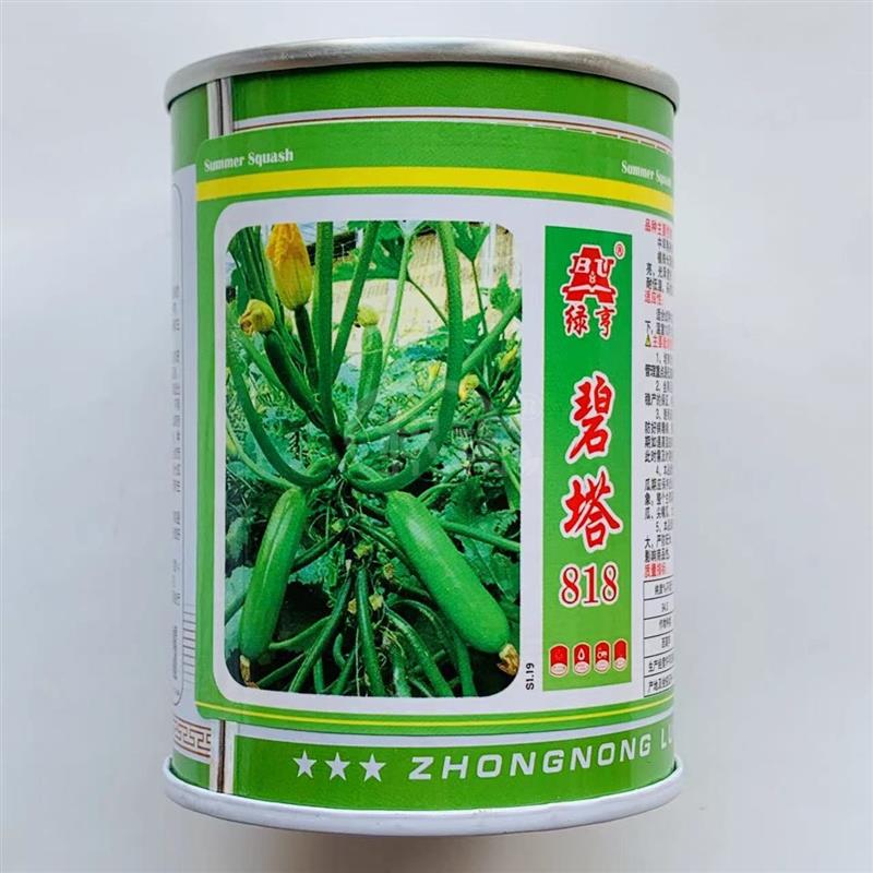 绿亨碧塔818蔬菜籽西葫芦种子新品种耐寒高产瓜条菜瓜西葫芦种子