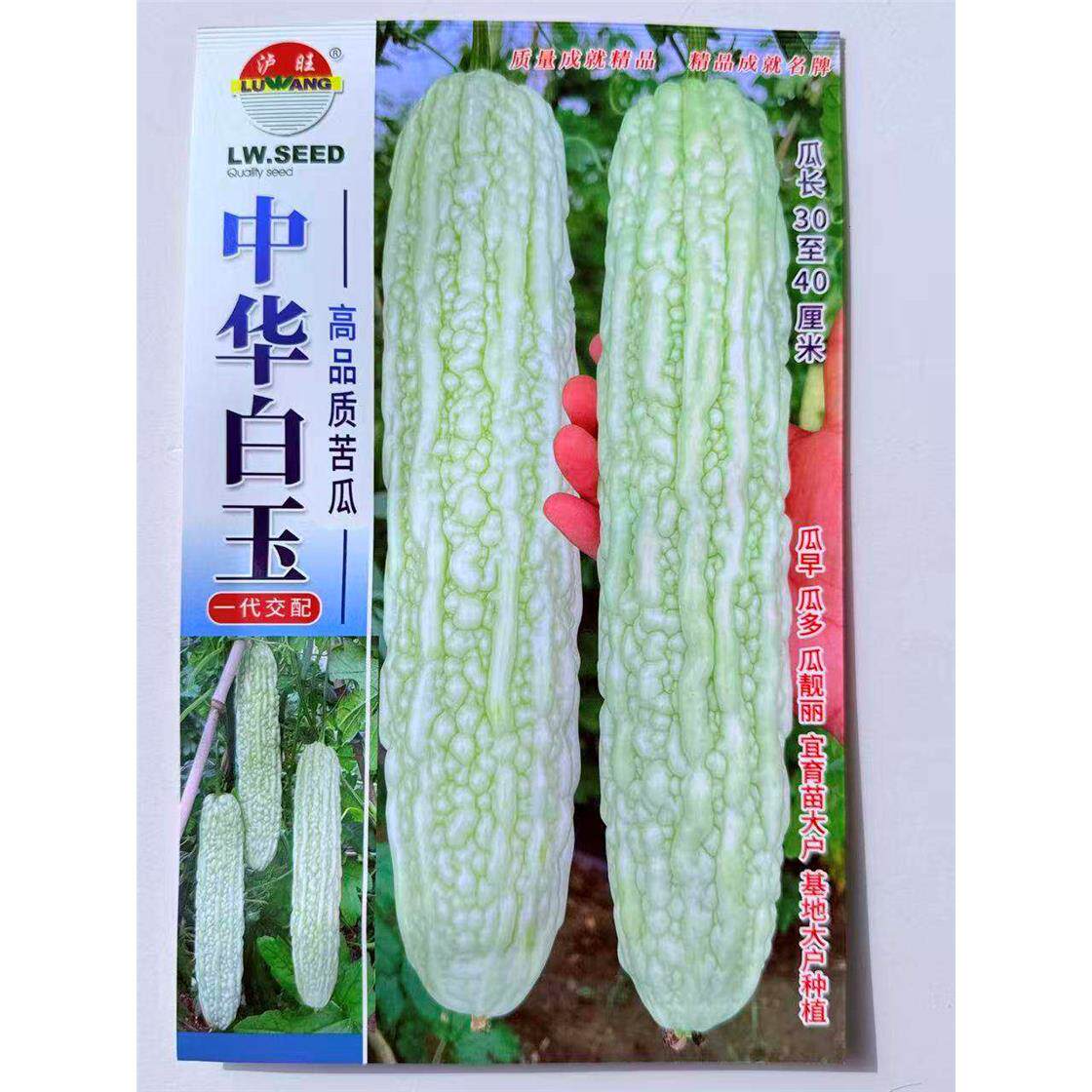 蔬菜瓜果苦瓜种子大全白