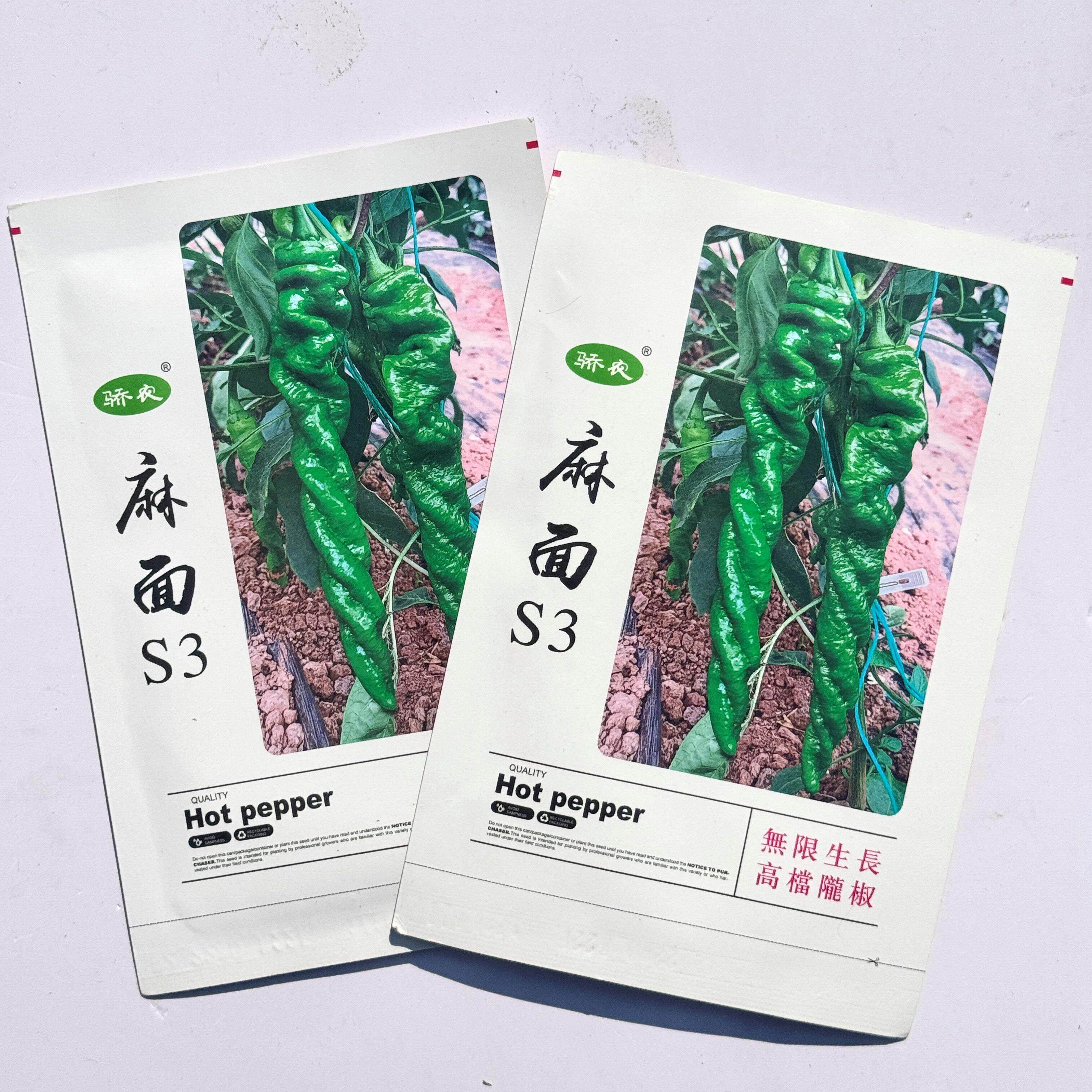 正品麻面S3绿色陇椒种子
