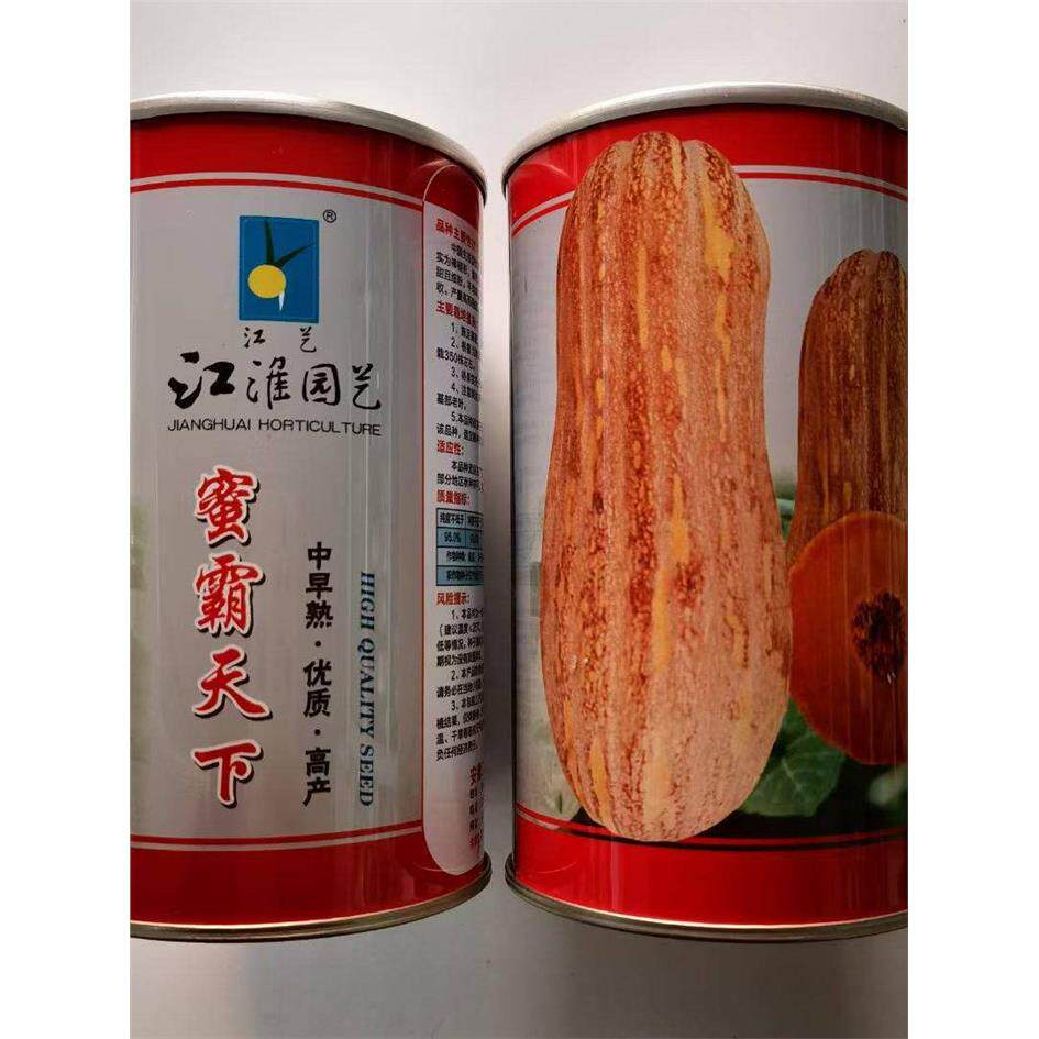 江淮园艺蜜霸天下南瓜种