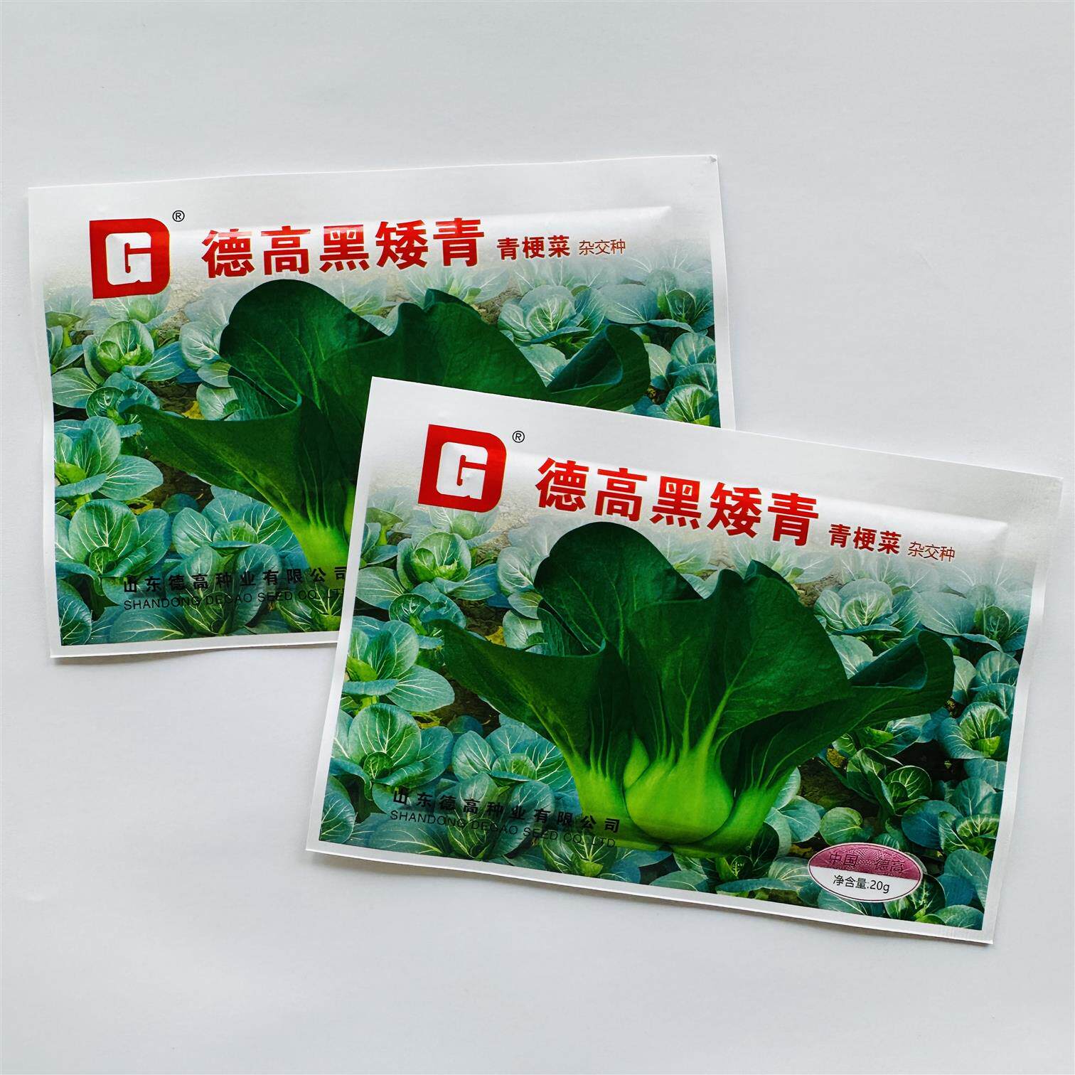 黑矮青菜种子苏州青一代