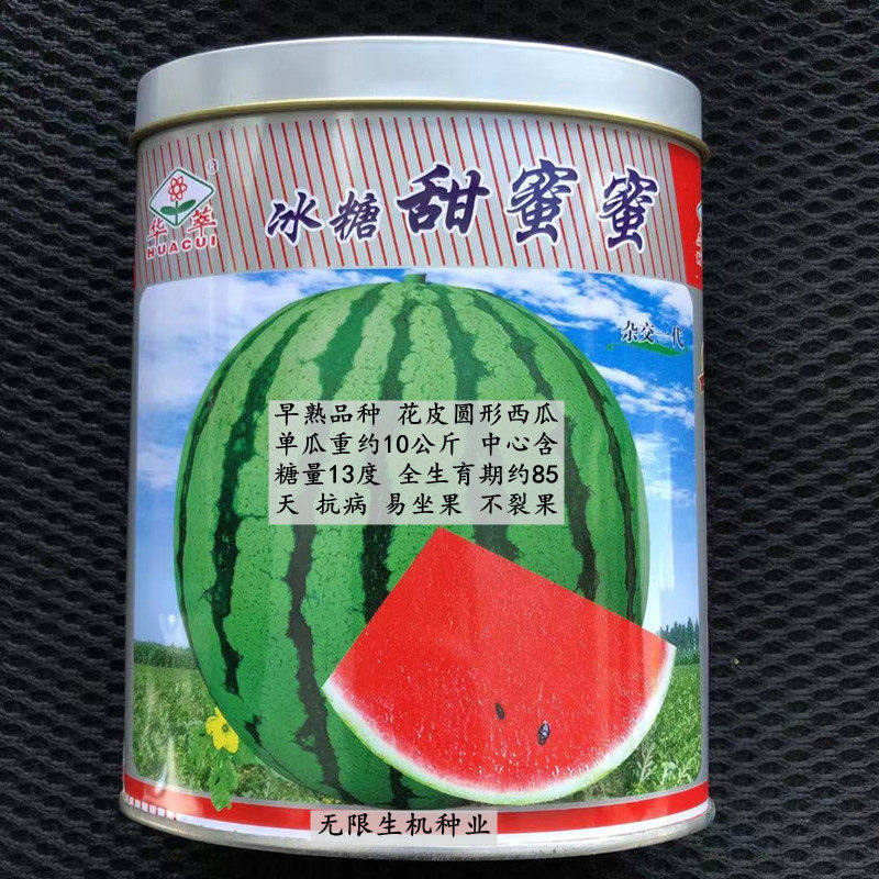冰糖甜蜜蜜西瓜种子早熟