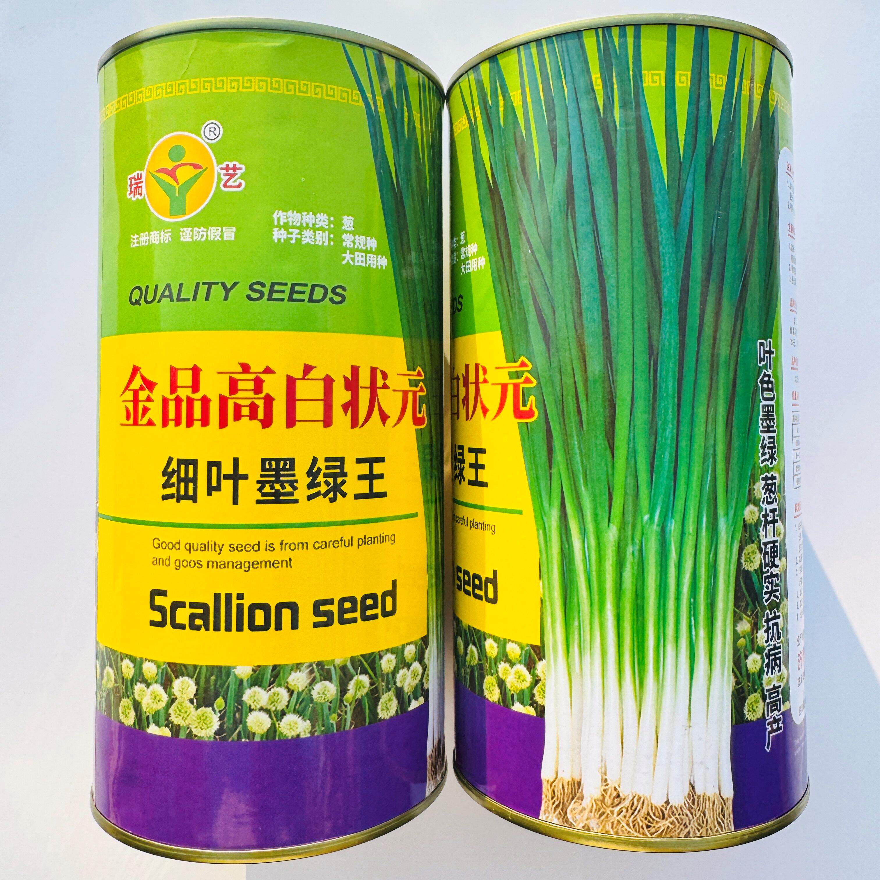 金品高白状元香葱种籽细