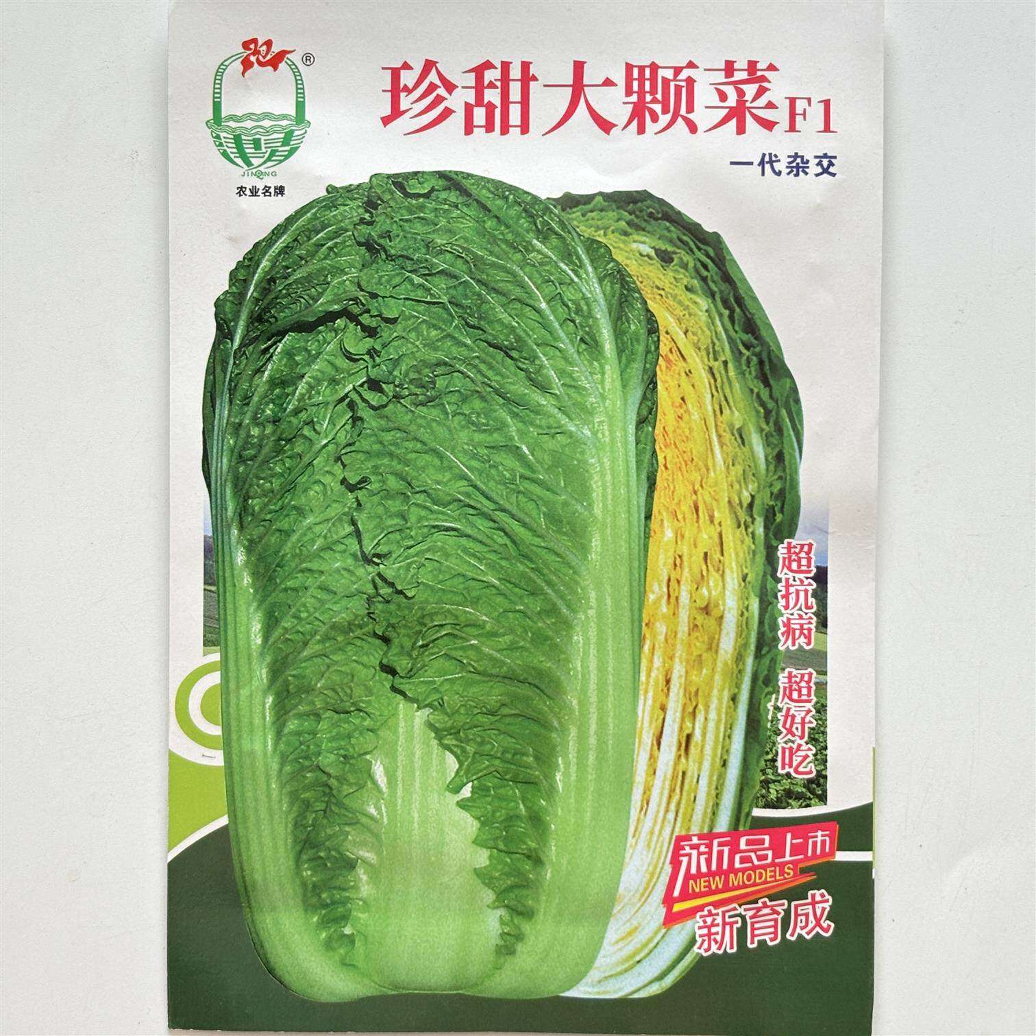 珍甜大颗大白菜菜杂交绿