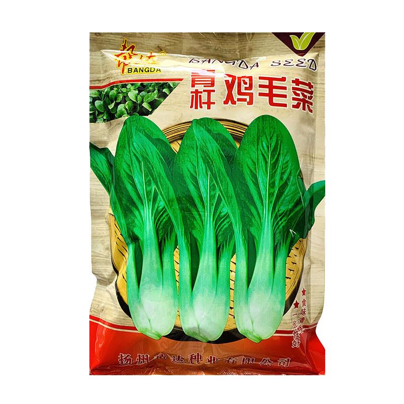 青杆鸡毛菜种子长杆种籽梗青杆小白菜上海青腌制酸菜蔬菜种孑