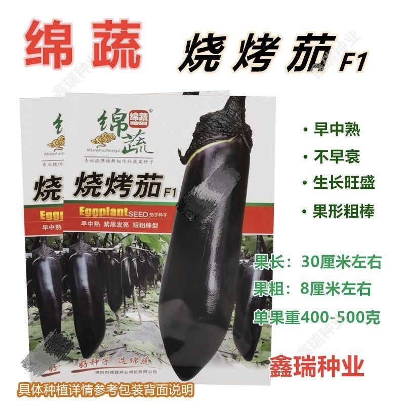 绵蔬烧烤茄种子早熟一代杂交茄子种籽粗棒紫黑茄抗病四季蔬菜种孑