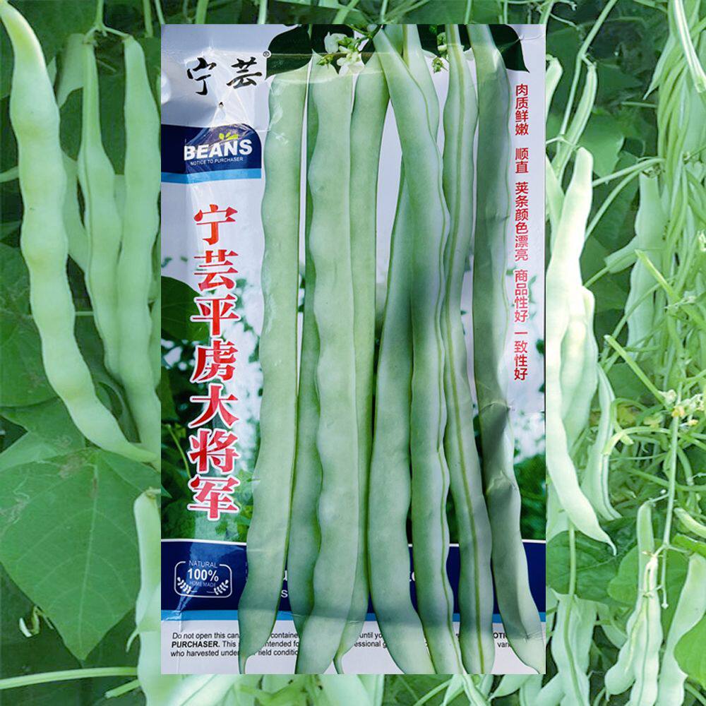 白条架豆种子芸豆宁芸平虎大将军四季豆种籽刀豆春秋播蔬菜豆角种