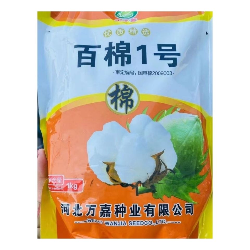 百棉一号棉花种子抗虫大桃棉花种籽棉铃懒汉抗重茬千斤王春季播