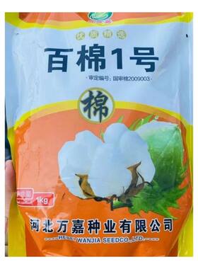 百棉一号棉花种子抗虫大桃棉花种籽棉铃懒汉抗重茬千斤王春季播
