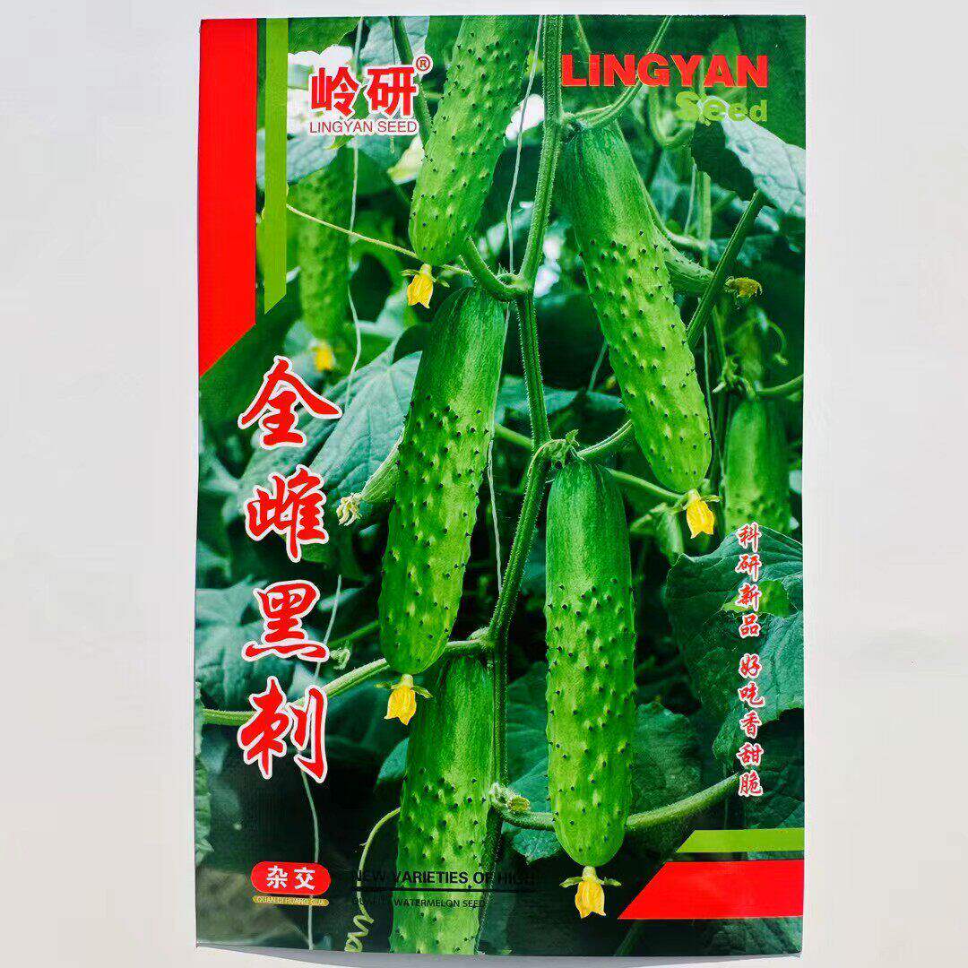 全雌黑刺黄瓜种子旱籽甜