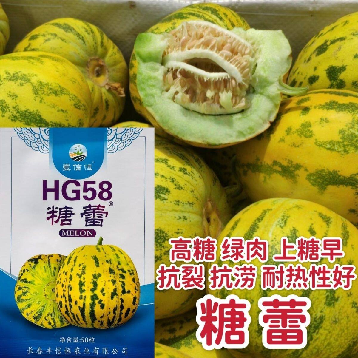 糖蕾甜瓜种子花皮绿肉高
