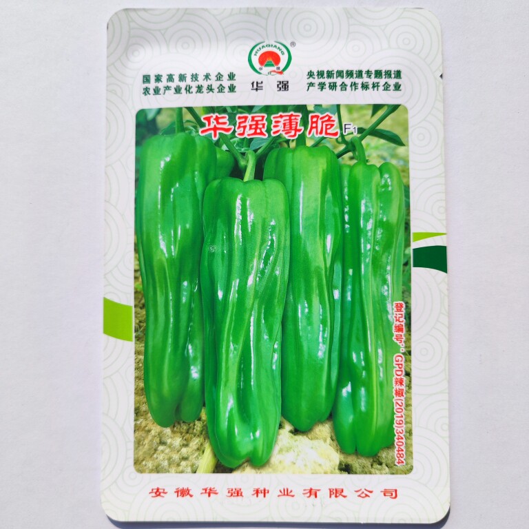 华强国脆辣椒种籽早熟高产耐低温春秋种植薄皮大果青椒灯笼椒种子
