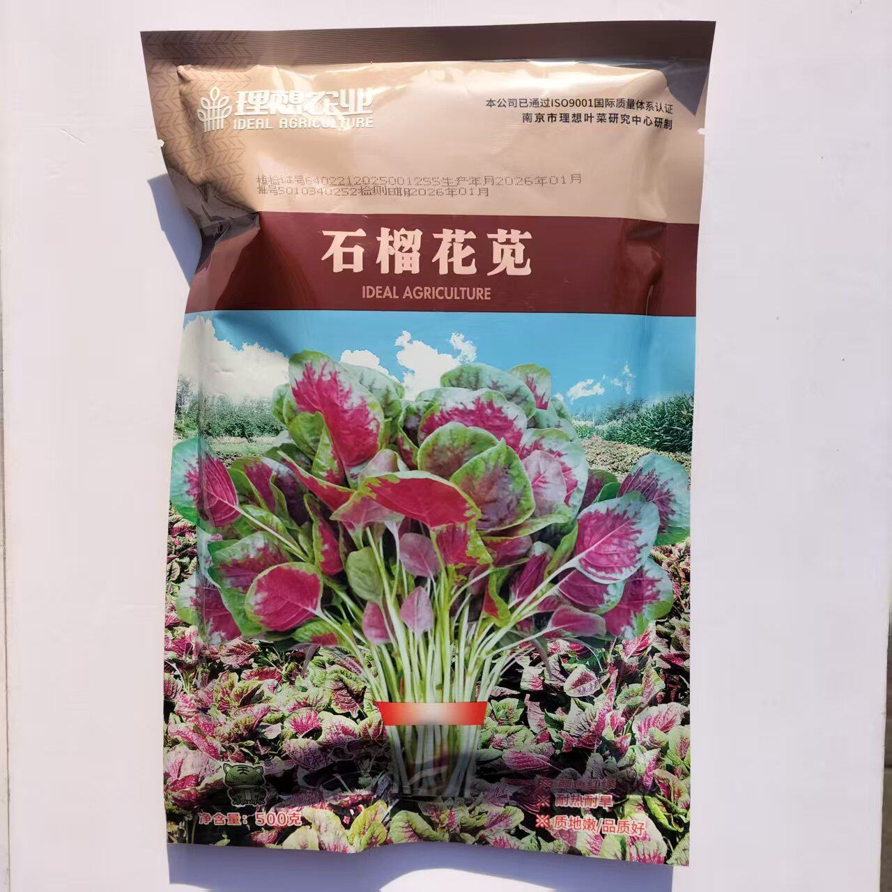 理想石榴花苋苋菜种子金