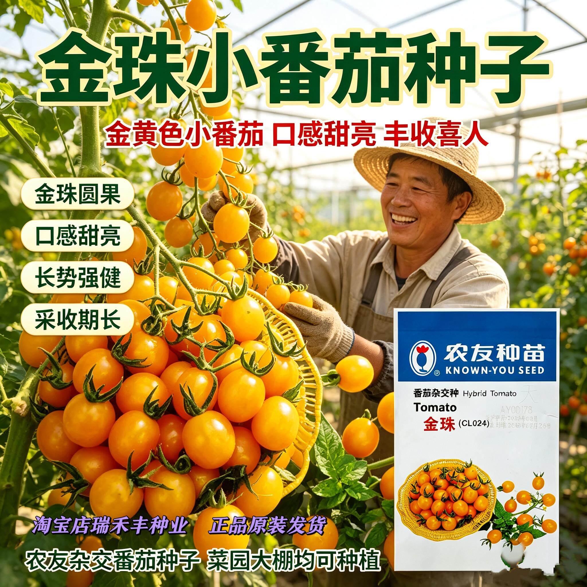 农友种苗金珠黄小番茄种图片