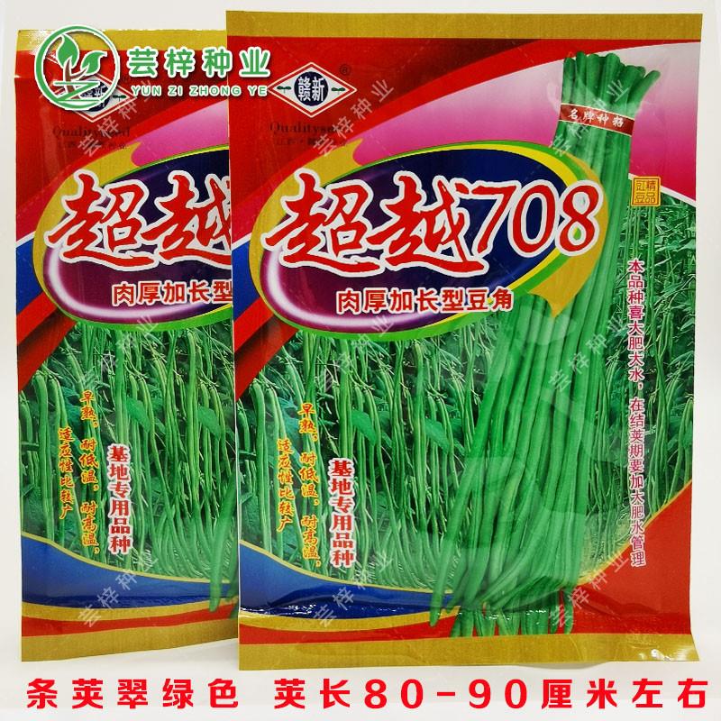 超越708长豇豆种子中早熟肉厚加长型结荚多长豆角种籽耐高温