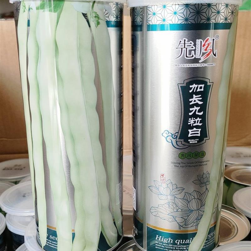 先风加长九粒白芸豆种子豆角架豆四季豆种蔬菜春季秋季大田播高产
