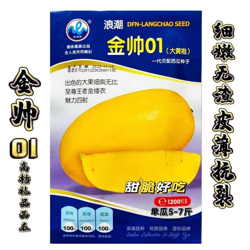 浪潮金帅金玲西瓜种子黑美金黄皮黄肉黄瓤西瓜杂交种子大田专用