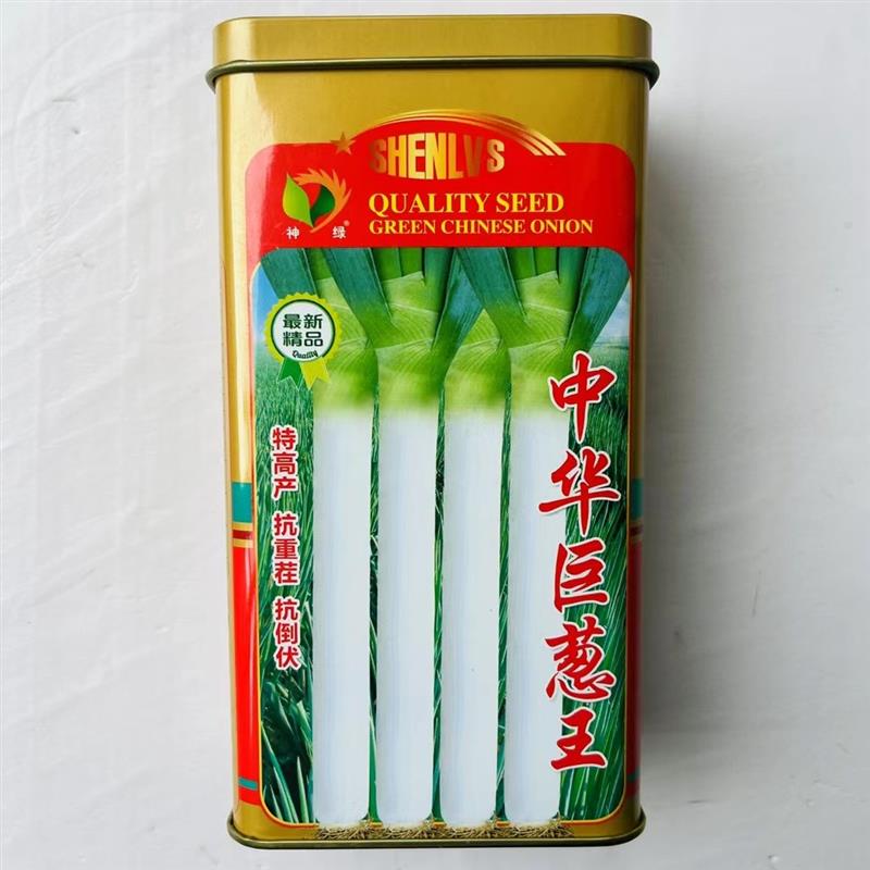 章丘大葱种子铁杆型中华巨葱王大香葱耐热抗寒春季秋冬季铁杆四季