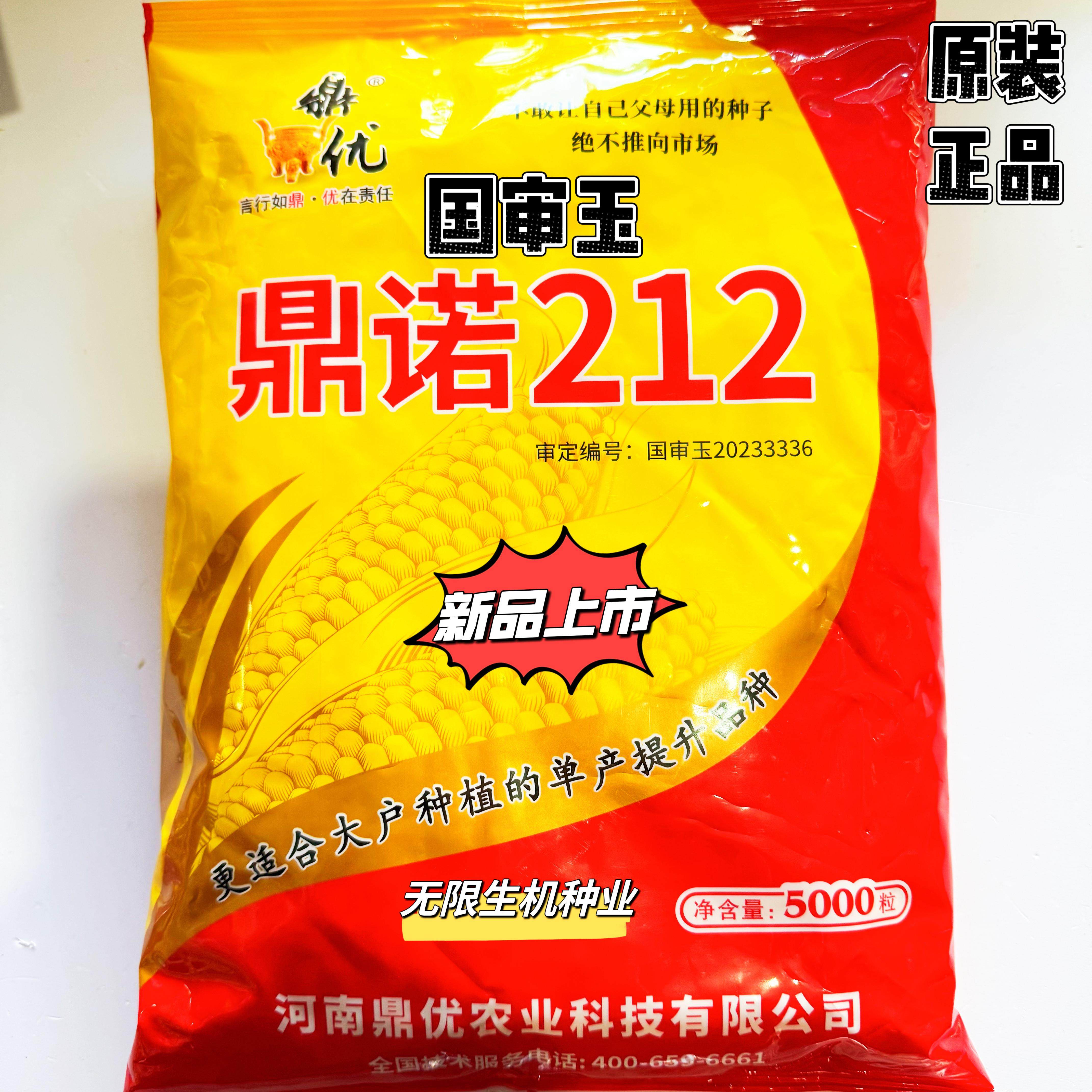 国审玉米种子鼎诺21籽高